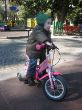 IMG_6632.jpg